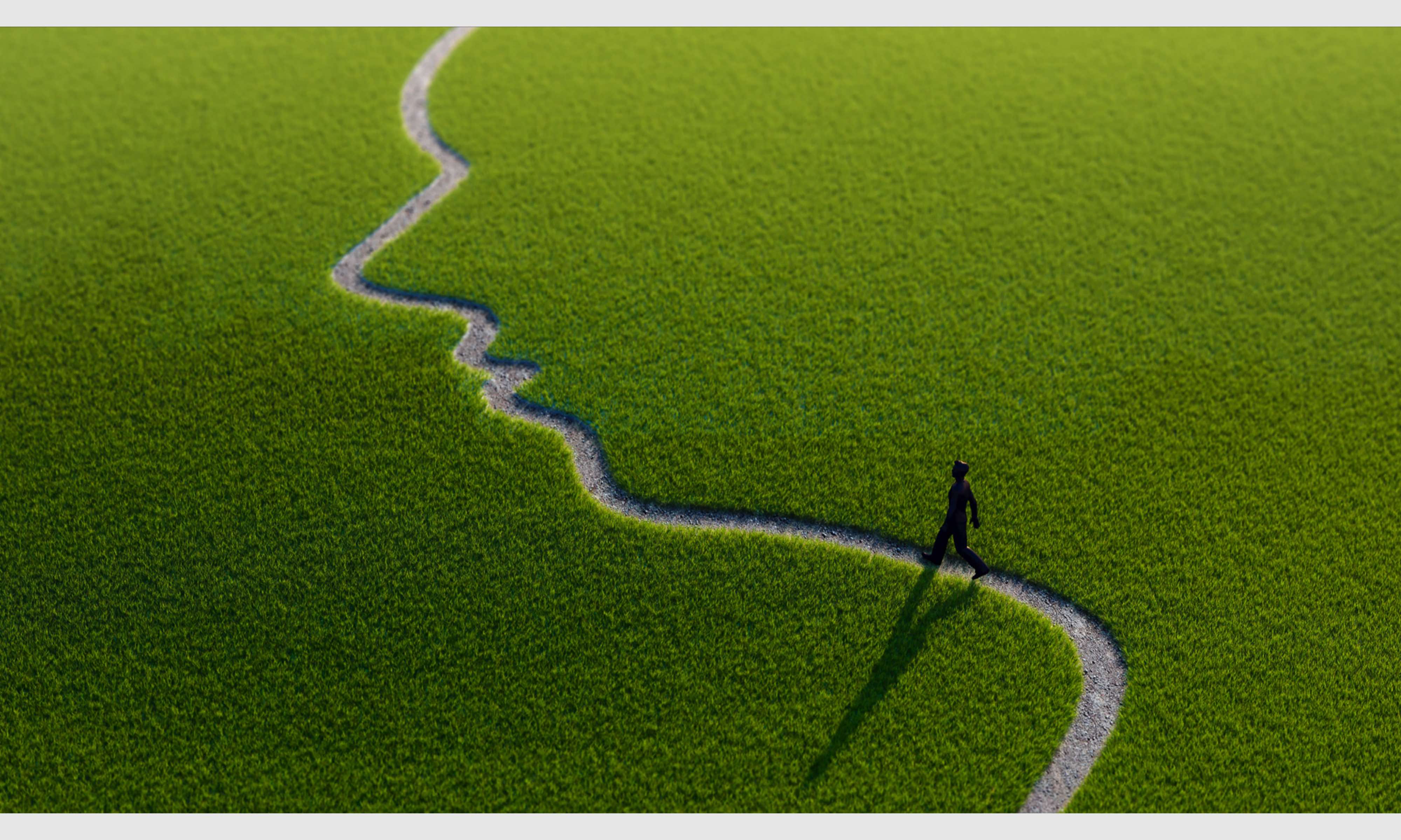 A figure walking a path shaped like a human profile through open grassland